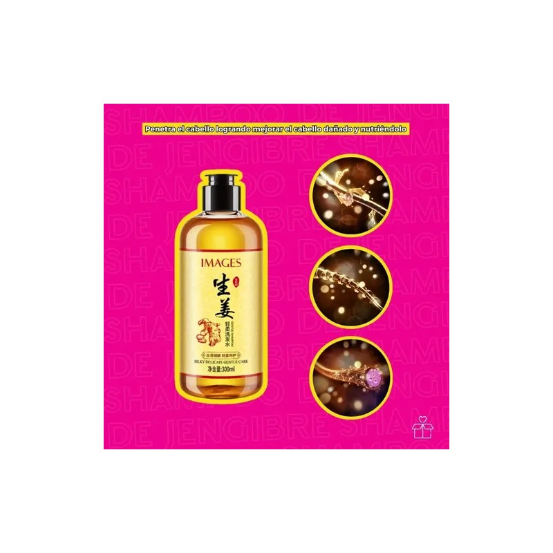 Shampoo De Jengibre Anti Caspa Caída Cabello Fríz Hidratante