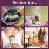 Smudge Kit Refill - White Sage & Palo Santo for