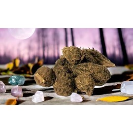 High John The Conqueror Root | Wicca Pagan Curio Magick | Ipomoea Jalapa | Organic Harvested Carry For Luck | 4oz/114gm