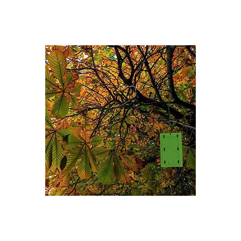 Defenders Horse Chestnut Leaf Miner Pheromone Trap – Twinpack, Refillable,