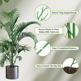 letesult 7 Pack Monstera Plant Support - 24.4" Plant Support Stakes for Indoor Plants Sticks Support Tall Indoor Plant Stakes with Twist Ties Stackable Plant Stem Support for Monstera Plants