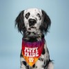 Puppy Pride Dog Bandana (740 Sunset Tie Dye, One Size)