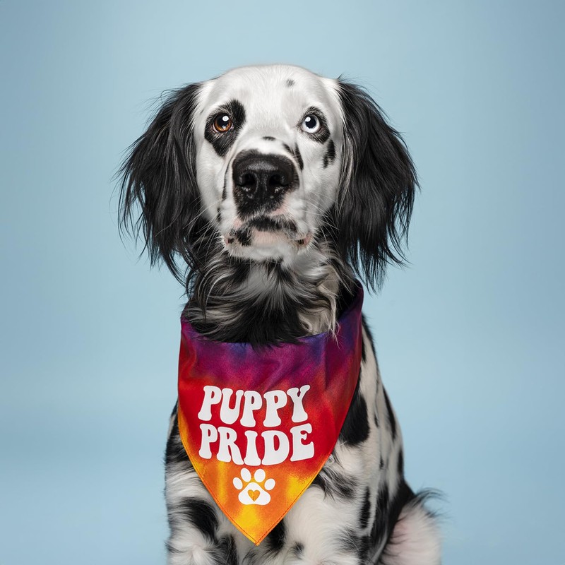 Puppy Pride Dog Bandana (740 Sunset Tie Dye, One Size)