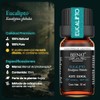 Bienat | Aceite Esencial de Eucalipto 10mL Natural | Difusor