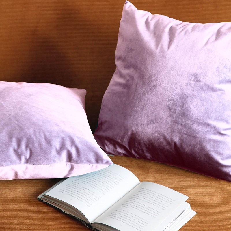 Set of 2 Soft Velvet Cushion Covers 45 x 45