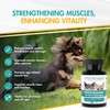 AminAmend Muscle Support Pet Supplement for Small Dogs & Cats