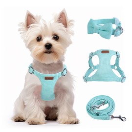 Dog Harness and Leash Set, XXS No Pull Adjustable Puppy Harness with Multifunction Pink Dog Leash and Dog Collar, Soft No Choke Escape Proof Pet Harness Vest for Small Dogs and Cats (Mint Green, XS)