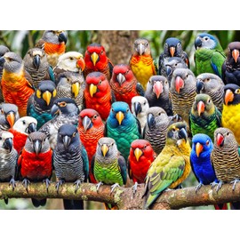 LUCKY PUZZLES ESTD 2020 Lucky Puzzles 'Feathered Friends Fiesta' | 500 Piece Jigsaw Puzzle for Adults | Unique Bird Artwork | Best Challenging Puzzles for Cognitive Workout | 18 x 24 Inches | Fun Puzzle for Families