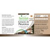 Fairvital Pleurotus Extract 500 mg - High Dose - Pleurotus