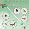 unbranded Foldable Insect Trap - Ideal for Home/Patio Fly &