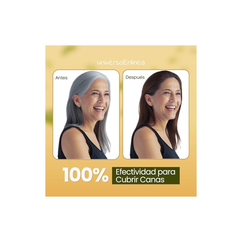 1 Champú para Teñir El Cabello 3 en 1 |