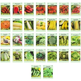 Set of 30 Vegetable and Herb Seeds - Semi Assorted - 100% Non-GMO & Heirloom - Great for Starting a Garden! High Germination Rate! (30)