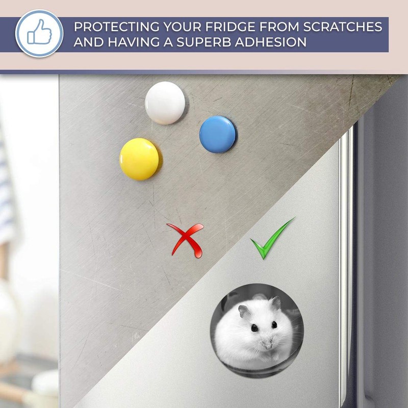 Destination Vinyl ltd Magnet for Refrigerator, Fridge BW - Cute