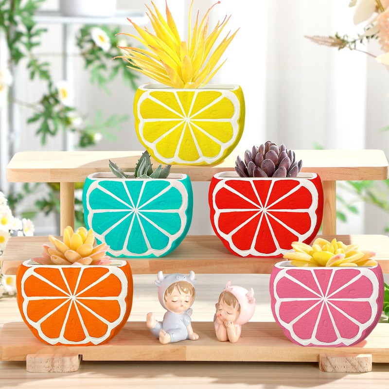 Pasimy 6 Set Ceramics to Paint DIY Ceramic Succulent Planter