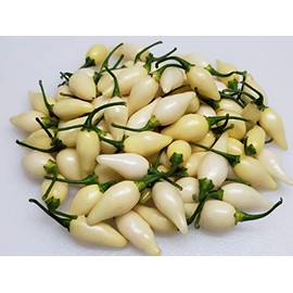 Biquinho White Pepper 10+ Seeds