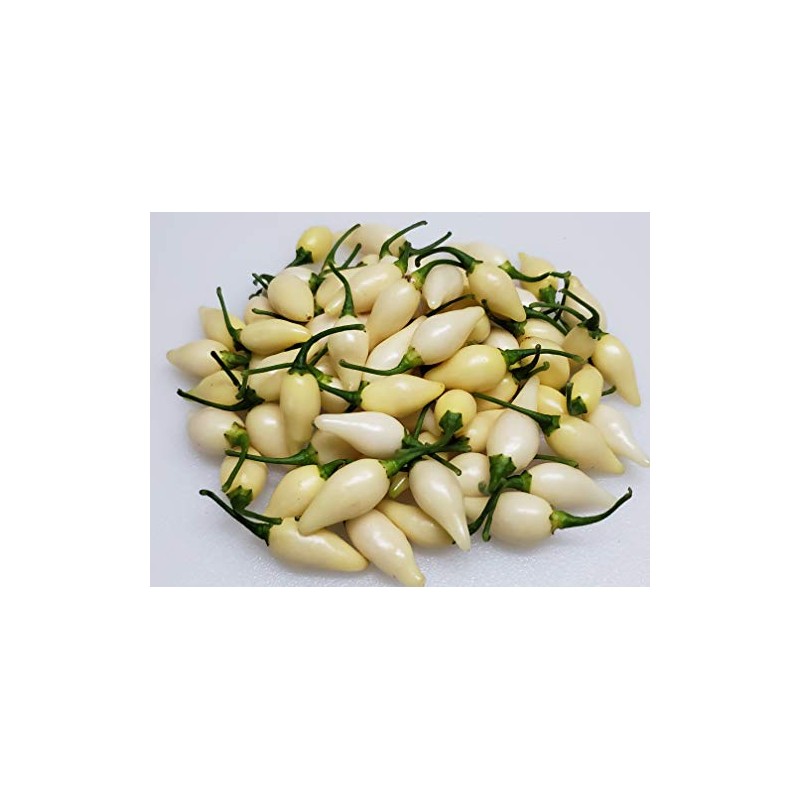Biquinho White Pepper 10+ Seeds