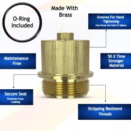 Reva Pool Products RV40401 190030 Drain Plug Cap Assembly for FNS Plus/Clean & Clear Plus