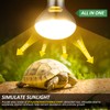 MIXJOY 100W Reptile Heat Lamp Bulb Full Spectrum UVA UVB