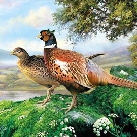 Ambiente Servietten Lunch/Party/Fest ca. 33x33cm Pheasant - Fasan - Ideal als Geschenk