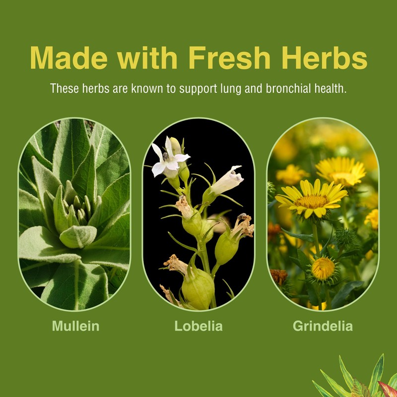 Herbs Etc. Lung Tonic - Lung Supplement for Bronchial Support
