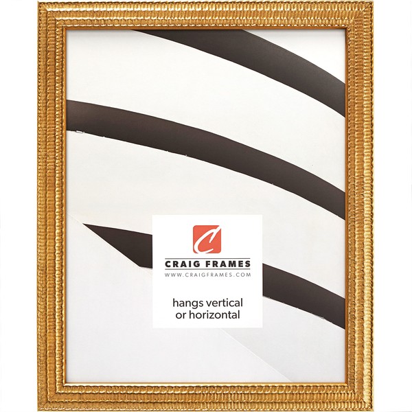 Craig Frames Farnsworth Picture Frame, 16 x 20 Inch, Gold