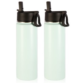 Volhoply Insulated Water Bottles with Straw Bulk 2 Pack, 660ml Stainless Steel Bottle with Handle Lid,Double Walled Metal Water Thermos with Wide Mouth, Reusable Cold Water Flask for School(Fog,2 Set)