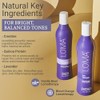 Loma Hair Care Champú violeta violeta acondicionador 12 oz Duo,