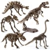 Dinosaur Fossil Digging Kit for Kids and Adult, STEM Science