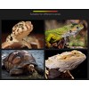 Large turtle basking platform, Floating dock for turtle tank, Turtle
