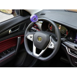 Abfer 12 Ball Steering Wheel Spinner Knob Purple Car Turning Asisting Wheel Handle Suicide Knobs Fit Most Vehicles Trucks