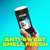 AXE Apollo Antiperspirant Deodorant Stick For Men Sage & Cedarwood