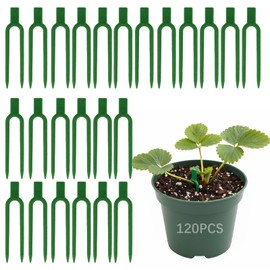 120 Pcs Strawberry Plant Support Pins, Plastic U-Shaped Garden Anchor Clips for Plant Cuttings and Runners Rooting, Reusable Plant Fixing Pins for Garden Use (Green)