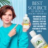 Organa Trace Minerals - Liquid Colloidal Minerals Supplements - Plant