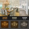 Energetic E12 LED Candelabra Light Bulbs 5.5W (60 Watt Equivalent),