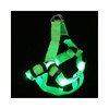 LuminaD LED Luminous Dog Harness & Night Walk Leash Light