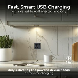 BG Electrical Single Switched Power Plug Wall Socket with Type A USB and Type C USB Charging Ports, Fast Charge, Screwless Front Plate, Evolve, Matt Grey, 13A, 18W, PCDMG21UAC18B