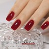 Double Rhythm Translucent Gel Polish Sheer Neutral Natural Light Milky