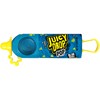 Juicy Drop Pop Variety Pack, Assorted Flavors Sweet Lollipops with