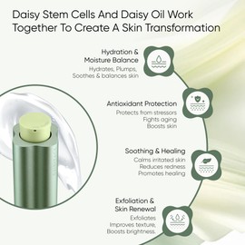 DAISYFACE Hydrating & Soothing Facial Toner 83ml – Refreshing, Brightening, and Calming Formula for All Skin Types