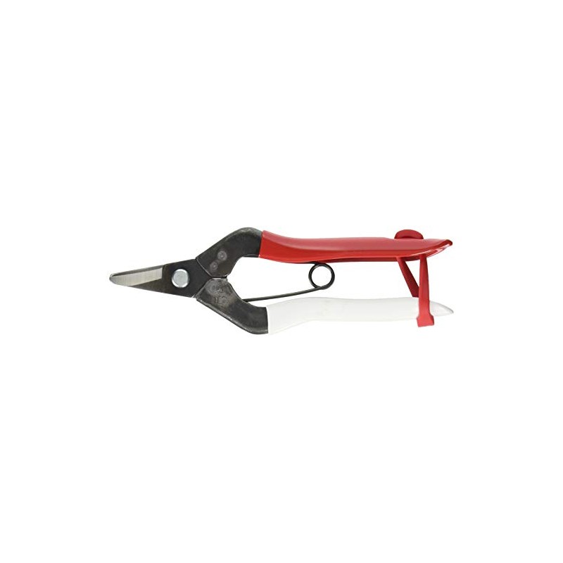 岡 恒 Father started calybium Scissor Red – Anti Blade