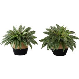 HomeStock 23In. Artificial Country Cottage Fern Plant with Handmade Jute & Cotton Basket DIY Kit (Set of 2)