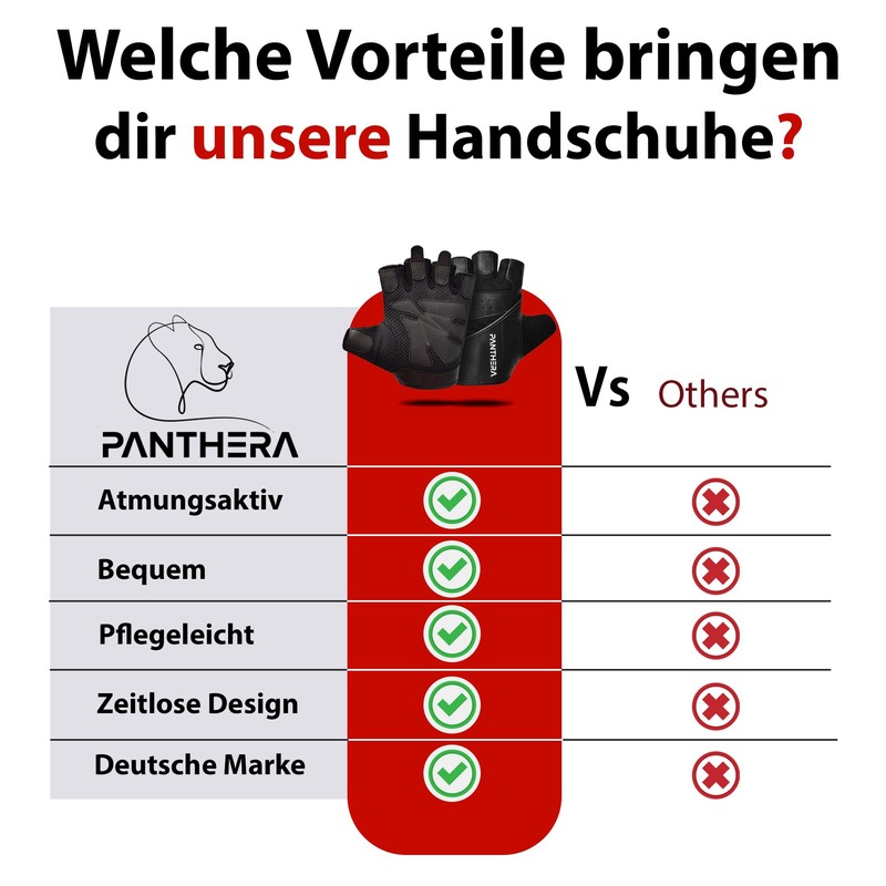 PɅNTHERɅ by AMD Panthera® Training Gloves Sports Gloves (M)