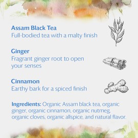 Grace Farms Organic Classic Chai Black Tea, 16 Pyramid Sachets | Ginger & Spices | Fairtrade & Kosher |Gives Back 100% of Profits