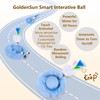 GoldenSun Interactive Cat Toys, Automatic Fast Rolling Ball in Pouch,