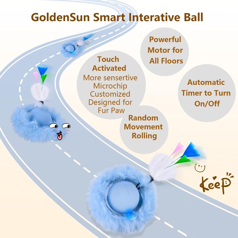 GoldenSun Interactive Cat Toys, Automatic Fast Rolling Ball in Pouch,