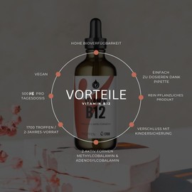 Vitamin B12 Tropfen - 50ml - vegan, ohne Alkohol, beide Aktivformen (Methyl- & Adenosylcobalamin)