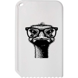 Azeeda 'Ostrich Wearing Glasses' Plastic Ice Scraper (IC00038025)