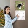 MICASA Pooping Puppies 2025 Wall Calendar 12 Month | 12"