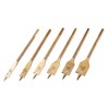 Amtech F1425 6 Piece Titanium Flat Wood bit Set