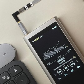 Geekria 変換プラグ 4.4mm(オス)5極 →2.5mm (メス)4極 標準プラグ 標準プラグ ステレオプラグ バランス アダプター Sony NW-ZX300A, NW-WM1A, NW-WM1Z, PHA-2A, TA-ZH1ES Audio Player DAP 等に適用